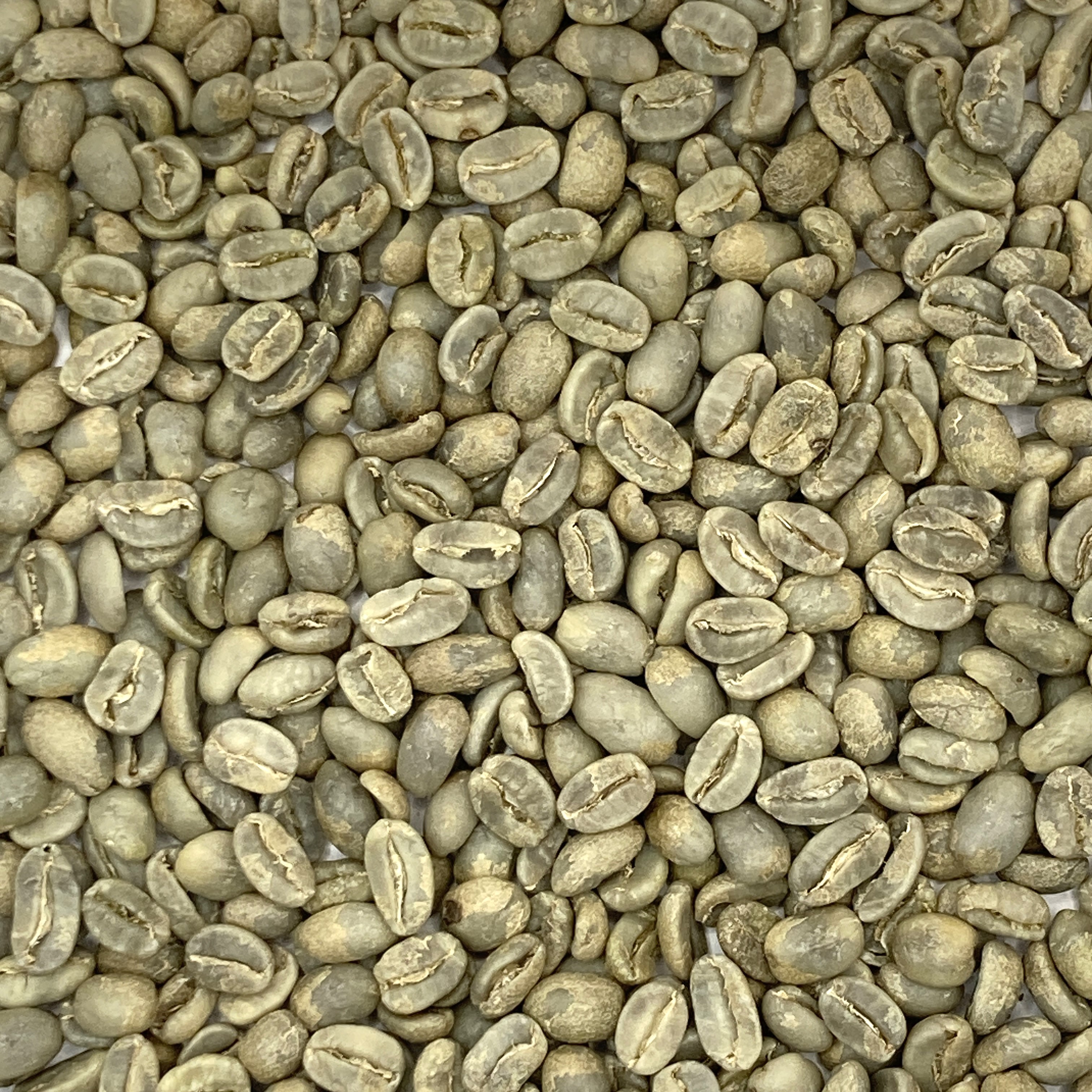 Nicaragua:  Finca La Rubia SHB, Jinotega Copy NICRUB-COPY